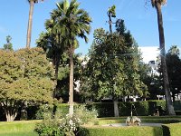 DSC03952