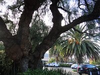 DSC03970