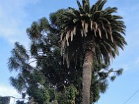 DSC03976