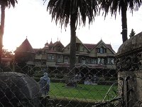 DSC03979