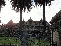 DSC03981