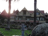 DSC03982