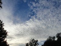 DSC03983
