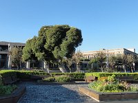 DSC03994