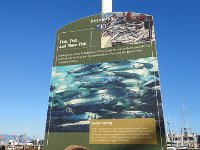 DSC04044