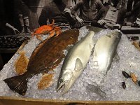 DSC04053