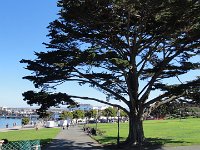 DSC04135