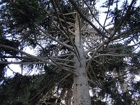 DSC04138