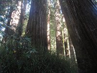 DSC04165