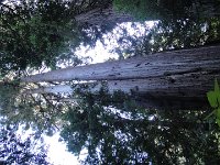 DSC04178