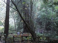 DSC04180