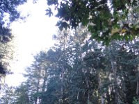 DSC04183