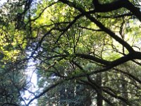DSC04185