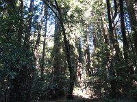 DSC04186