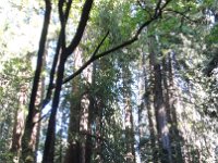 DSC04188