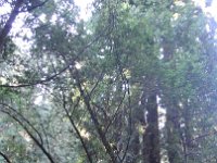 DSC04190