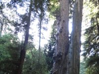 DSC04206