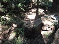 DSC04215