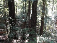 DSC04218