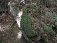 DSC04222