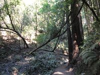 DSC04240