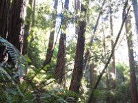 DSC04251