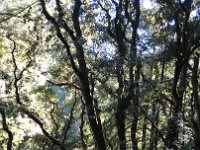 DSC04258