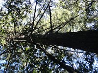 DSC04259