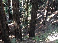 DSC04260