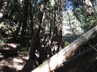 DSC04263