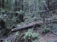 DSC04271