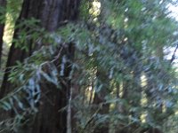 DSC04274