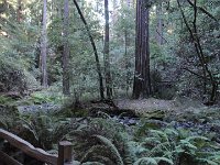 DSC04291