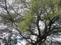20150330 145657