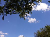 20150429 120110