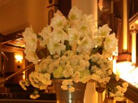 IMG 20150214 195635