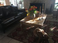 IMG 1024