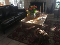IMG 1025