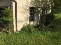 IMG 1227