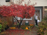PB080062