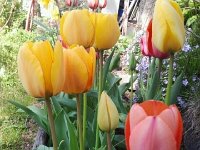 2013-04-24 10.07.17