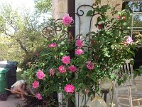 IMG951535