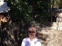 IMG952561