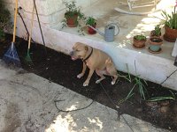 IMG952844