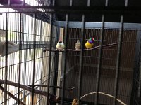 IMG956832