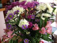 IMG958344