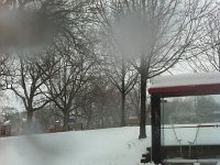 IMG 0397