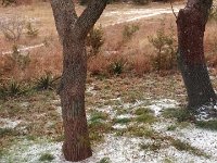 IMG 0964