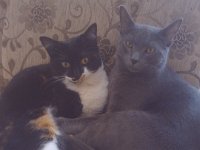 IMG 20110912 182855