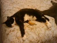 IMG 20111112 173249